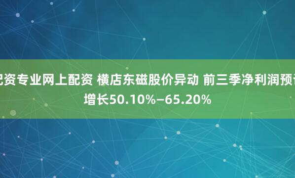 配资专业网上配资 横店东磁股价异动 前三季净利润预计增长50.10%—65.20%